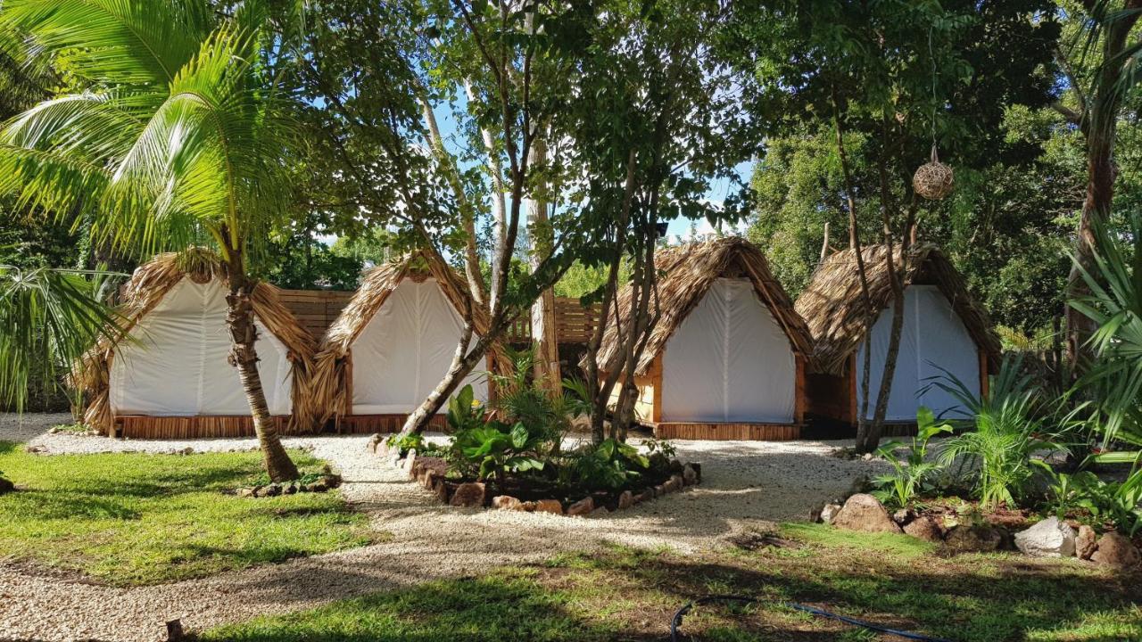 El Buho Bacalar Eco-Cabanas Hostal ภายนอก รูปภาพ