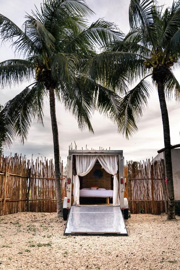 El Buho Bacalar Eco-Cabanas Hostal ภายนอก รูปภาพ