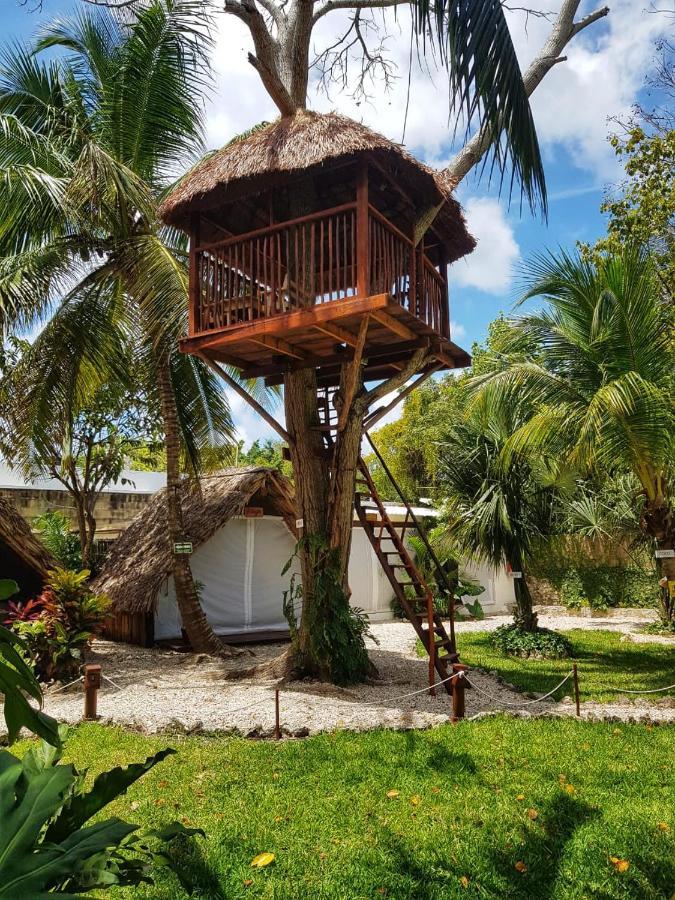 El Buho Bacalar Eco-Cabanas Hostal ภายนอก รูปภาพ