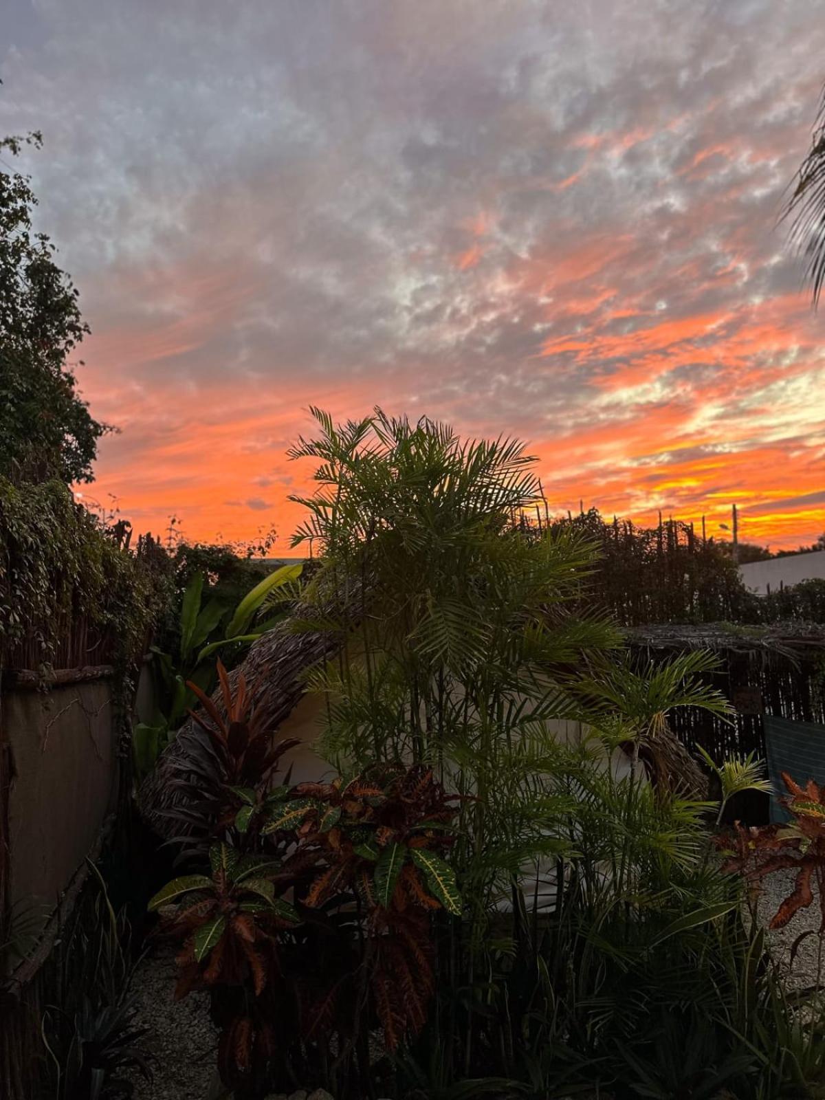 El Buho Bacalar Eco-Cabanas Hostal ภายนอก รูปภาพ