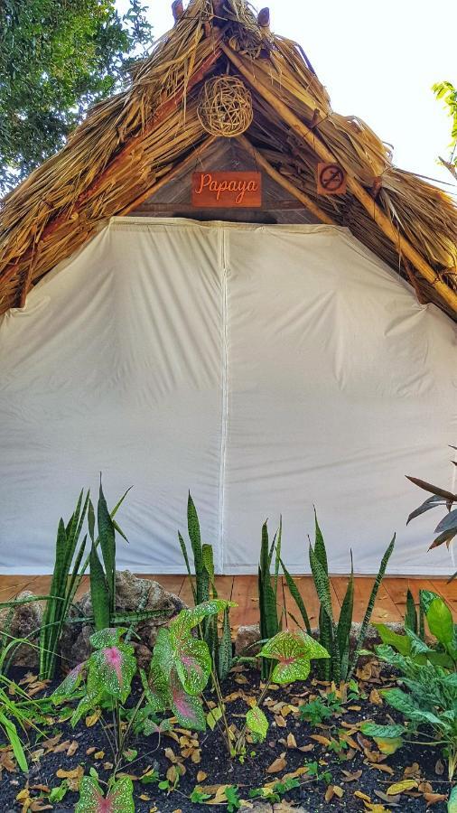El Buho Bacalar Eco-Cabanas Hostal ภายนอก รูปภาพ