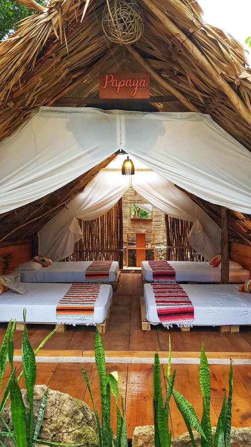 El Buho Bacalar Eco-Cabanas Hostal ภายนอก รูปภาพ