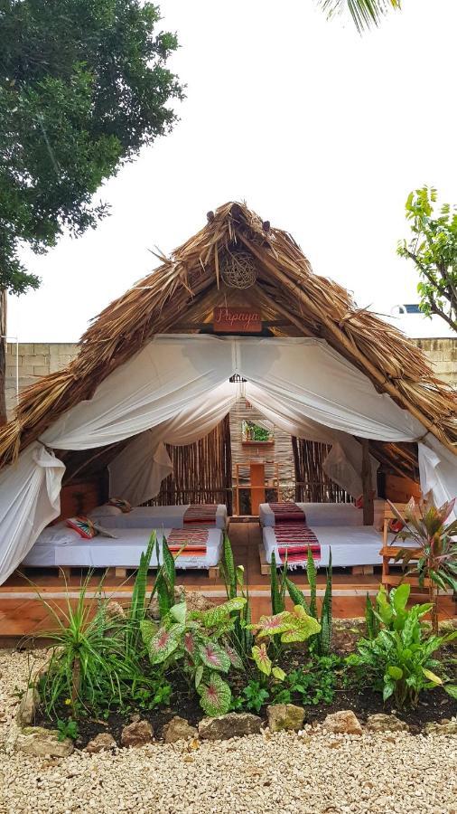 El Buho Bacalar Eco-Cabanas Hostal ภายนอก รูปภาพ